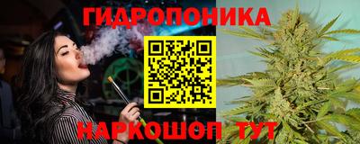 трава Кингисепп