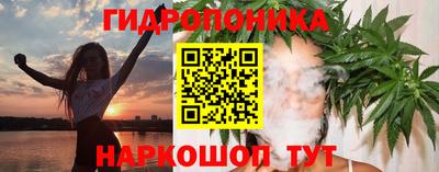 трава Кингисепп