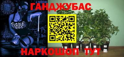 трава Кингисепп