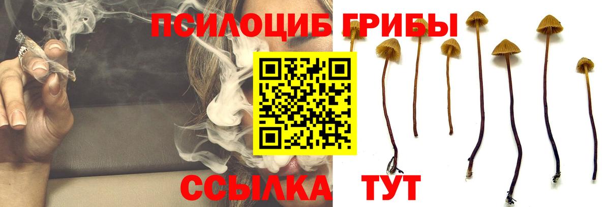 Псилоцибиновые грибы Cubensis  Вход с VPN  где купить наркотик  Лабытнанги 